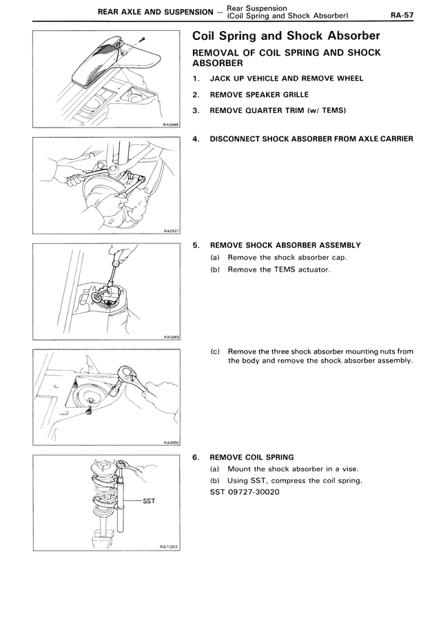 Coil Spring and Shock Absorber